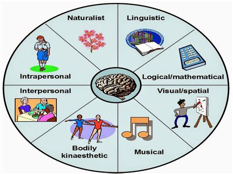 8 intelligences